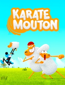 Karaté Mouton