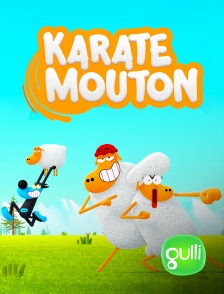 Gulli - Karaté Mouton