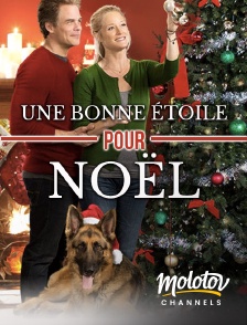 Molotov channels - Une bonne étoile pour Noël
