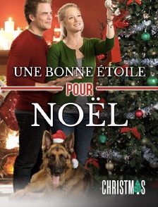 CHRISTMAS by Molotov - Une bonne étoile pour Noël