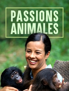 Passions animales