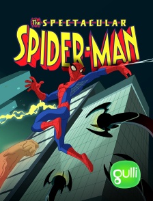 Gulli - Spectacular Spider-Man