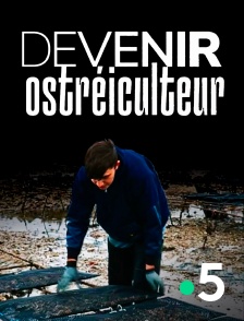 Devenir ostréiculteur