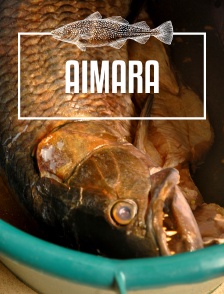 Aïmara