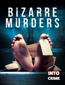 Into Crime - Bizarre Murders