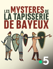 France 5 - Les mystères de la tapisserie de Bayeux