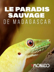 TV Monaco - Le paradis sauvage de Madagascar