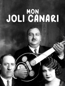 Mon joli canari