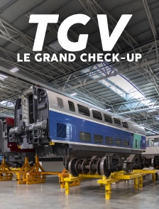 TGV : Le grand check-up
