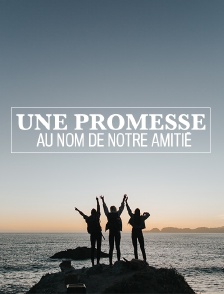 Une promesse au nom de notre amitié