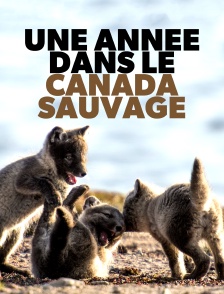 Une année dans le Canada sauvage
