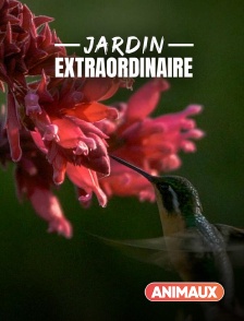 Animaux - Le jardin extraordinaire