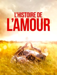 L'histoire de l'amour