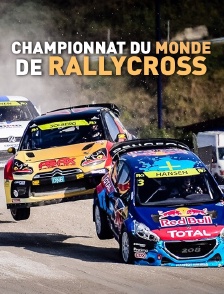 Championnat du monde 2017