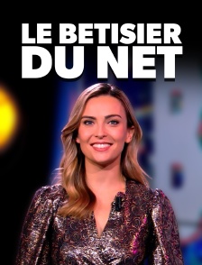 Le bêtisier du net