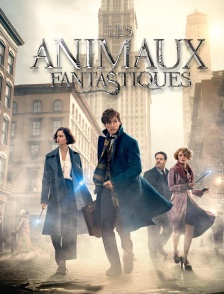 Les animaux fantastiques