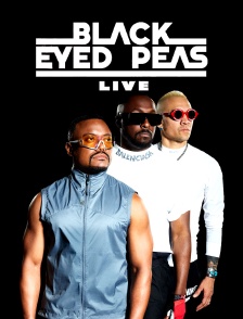 Black Eyed Peas Live : Bayfront Park Miami