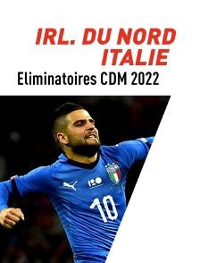 Football : Eliminatoires de la Coupe du monde UEFA - Irlande du Nord / Italie
