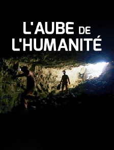 L'aube de l'humanité