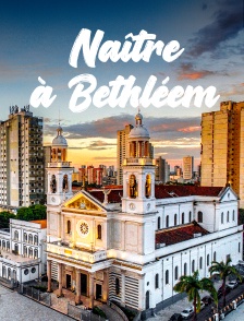 Naître à Bethléem : La maternité de l'espoir