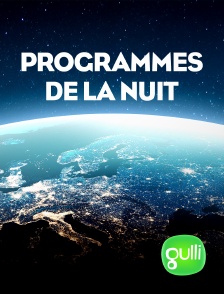 Gulli - Programmation nuit