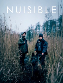 Nuisible