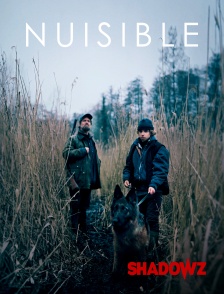 Shadowz - Nuisible en replay