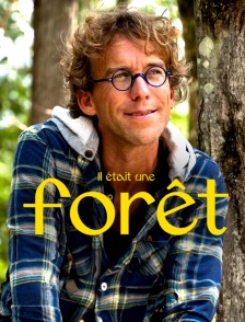 Il était une forêt