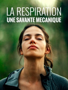 La respiration, une savante mécanique