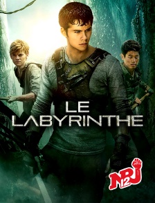 NRJ 12 - Le labyrinthe