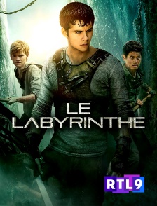 RTL 9 - Le labyrinthe