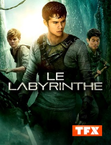 TFX - Le labyrinthe