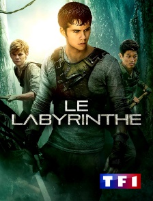 TF1 - Le labyrinthe