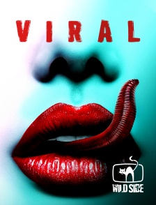 Wild Side TV - Viral en replay