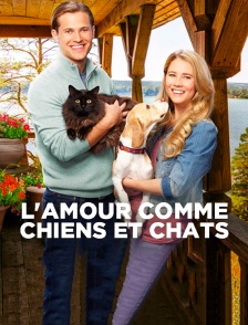 L'amour comme chiens et chats