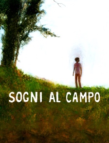 Sogni al campo