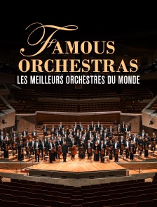 Famous Orchestras : Les meilleurs orchestres du monde