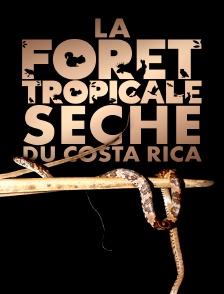 La forêt tropicale sèche du Costa Rica