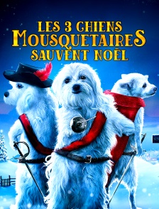 Les 3 chiens mousquetaires sauvent Noël