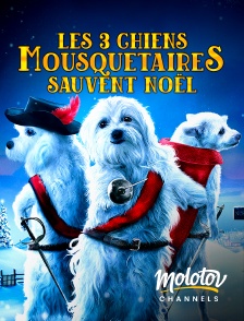 Molotov channels - Les 3 chiens mousquetaires sauvent Noël