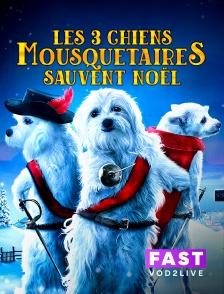 Molotov Channels TEST FAST - Les 3 chiens mousquetaires sauvent Noël