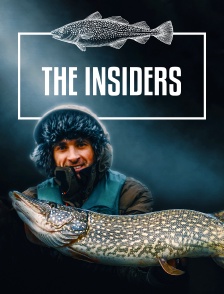 The Insiders