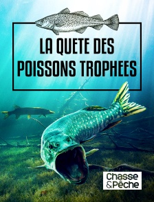 Chasse et pêche - La quête des poissons trophées