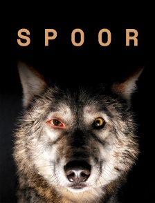 Spoor