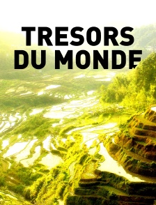 Trésors du monde