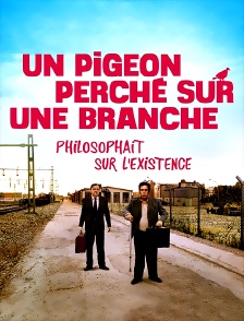 Un pigeon perché sur une branche philosophait sur l’existence