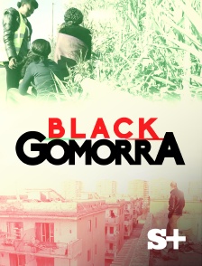 Society+ - Black Gomorra