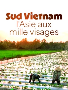 Sud Vietnam, l'Asie aux mille visages