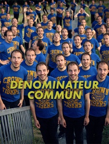 Dénominateur commun