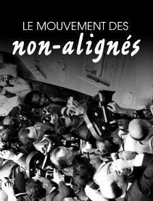 Le mouvement des non-alignés : la voie oubliée
